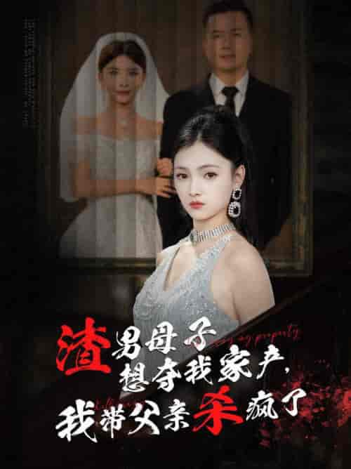 渣男母子想夺我家产我带父亲杀疯了（52集全）-紫橙资源网