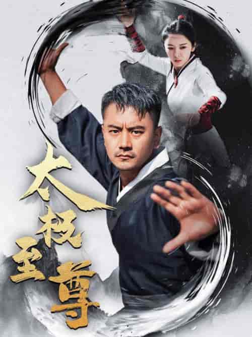 太极至尊（53集全）-紫橙资源网