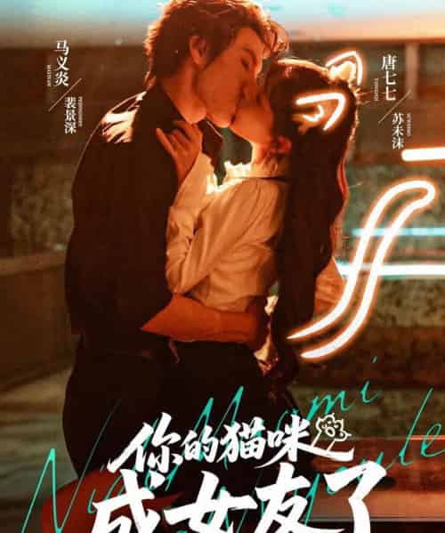 你的猫咪成女友了（70集全）唐七七＆马义炎-紫橙资源网