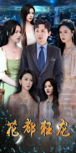 花都狂龙（100集）-紫橙资源网