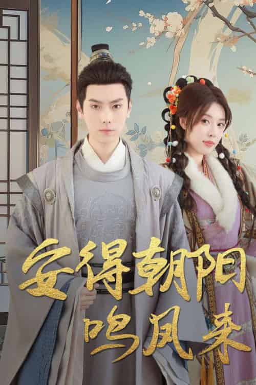 安得朝阳鸣凤来＆云鬓绾山河（32集全）路文卓-紫橙资源网