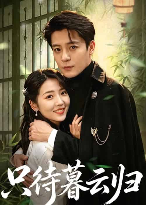 只待暮云归(70集全)李海蒂&丁敬一-紫橙资源网