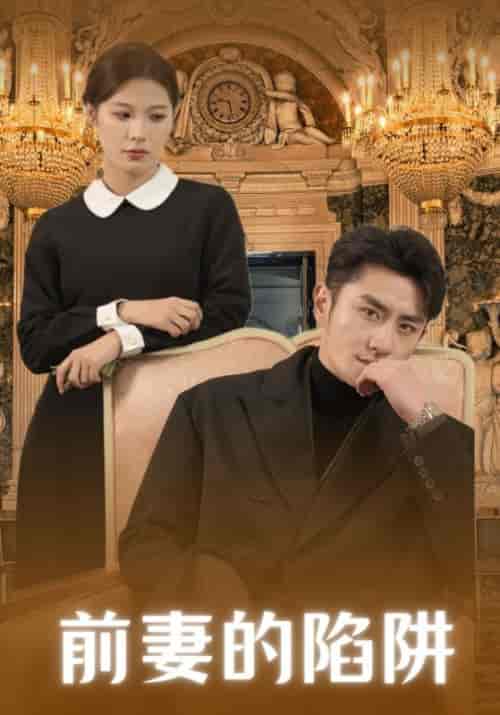 前妻的陷阱（19集）许淮安＆姜瑶-紫橙资源网