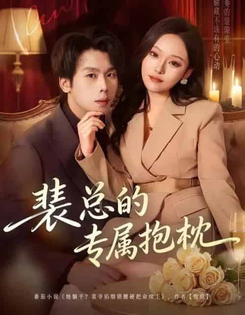 裴总的专属抱枕（78集全）艾江山＆橘子-紫橙资源网