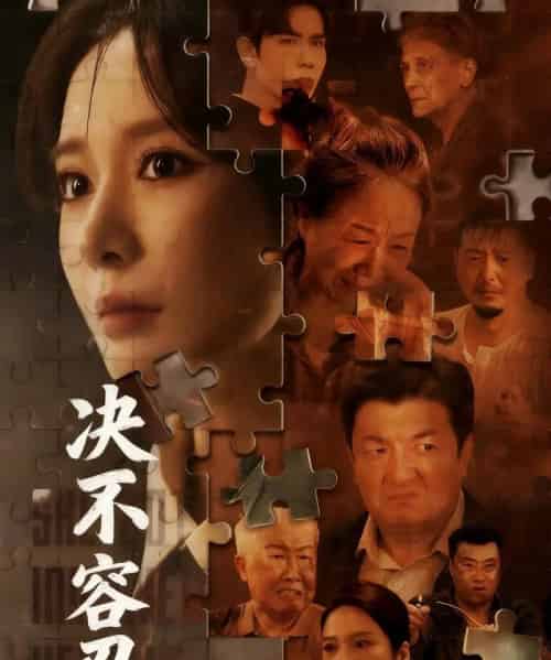 决不容忍＆以身入局的她（70集全）马星烁＆王小橙-紫橙资源网