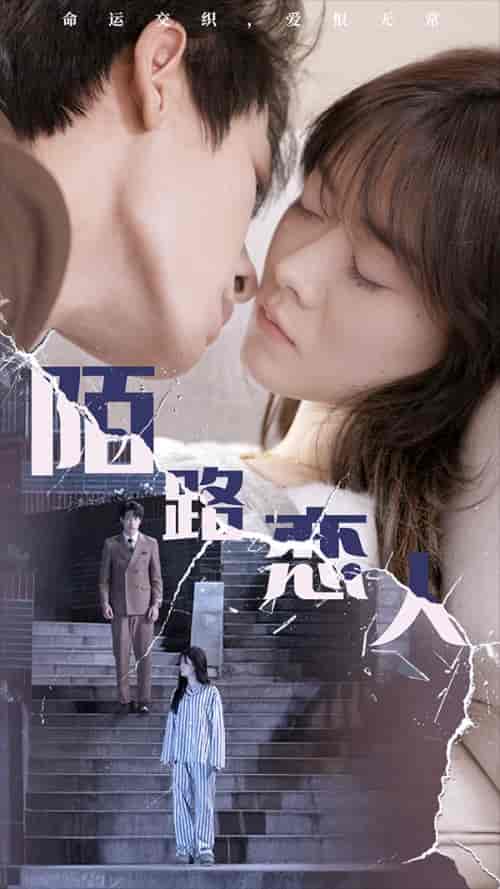 02-陌路恋人(80集)-紫橙资源网