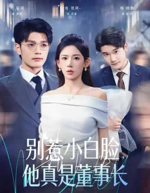 别惹小白脸，他真是董事长（68集全）张思琦＆刘宸羽-紫橙资源网