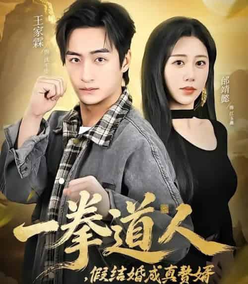 一拳道人,假结婚成真赘婿(61集全)邰靖懿&王祉溢-紫橙资源网