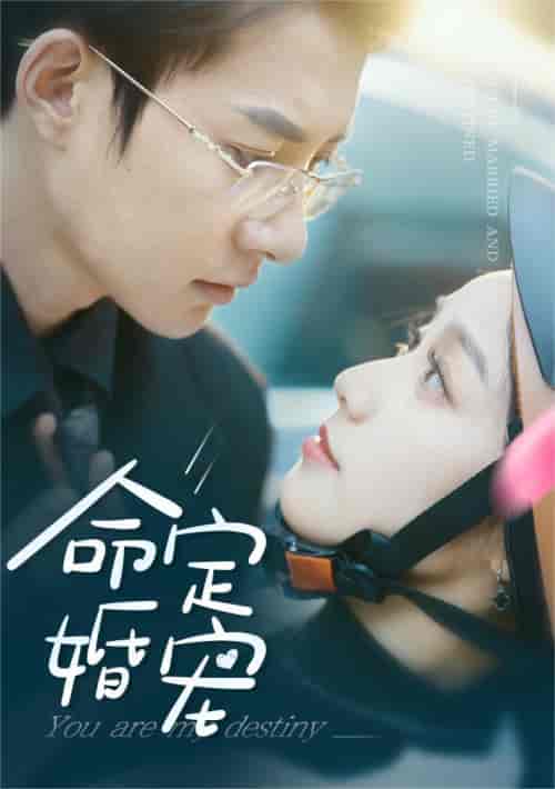 命定婚宠(61集)-紫橙资源网