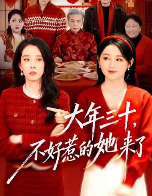 大年三十，不好惹的她来了（60集全）刘博洋＆崔秀子-紫橙资源网