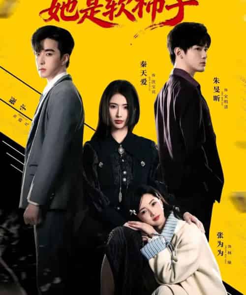 假千金她是软柿子(72集全)朱旻昕&秦天爱-紫橙资源网