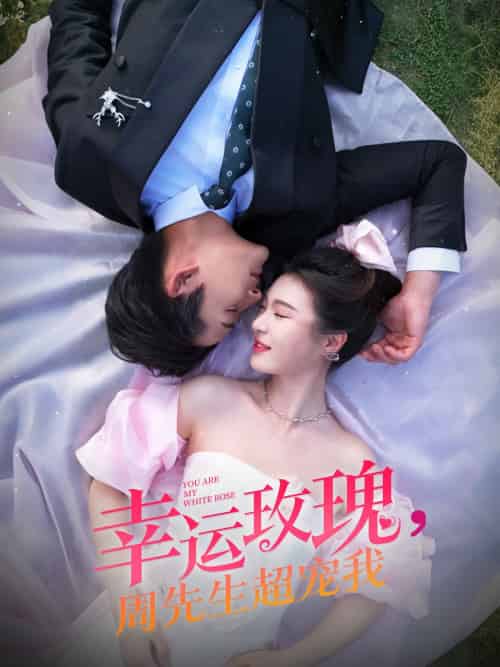 幸运玫瑰，周先生超宠我（74集）张旋＆郑晨雨-紫橙资源网