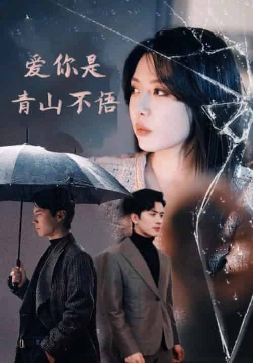 爱你是青山不语(90集全)顾南辰&林晚意-紫橙资源网
