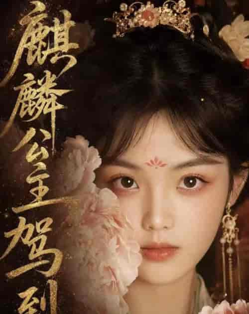 麒麟公主驾到(54集全)AI短剧-紫橙资源网