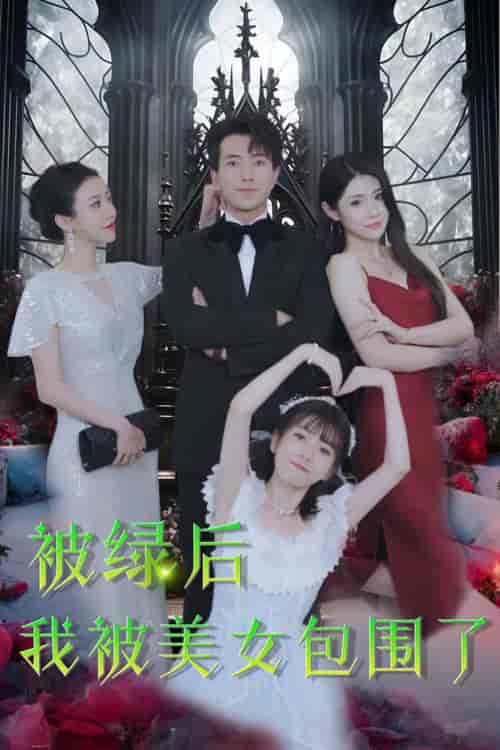 被绿后我被美女包围了（97集）-紫橙资源网