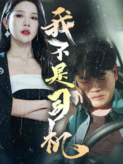 我不是司机（61集）林绮婷-紫橙资源网