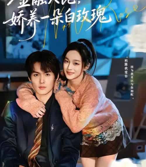 金融大佬,娇养一朵白玫瑰(70集全)董玥妤&周昊杉-紫橙资源网