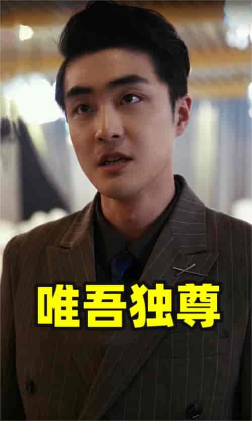 唯吾独尊（96集）-紫橙资源网