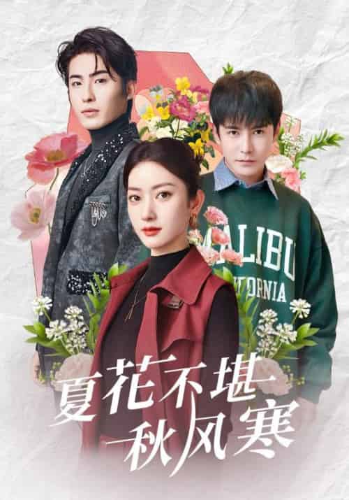夏花不堪秋风寒（79集全）沈珩＆秦若琳 - 紫橙短剧