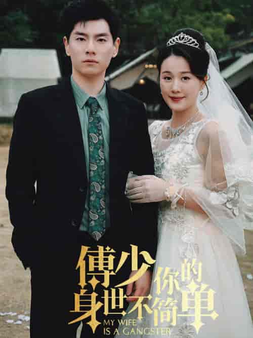 傅少你的身世不简单（89集）-紫橙资源网