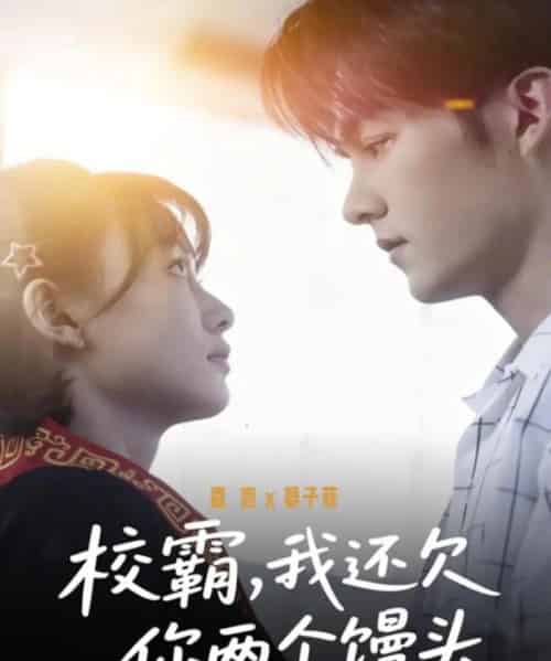 校霸,我还欠你两个馒头(60集全)嘉言&宴子菲-紫橙资源网