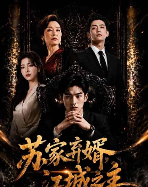 苏家弃婿,江城之主(43集全)AI-紫橙资源网