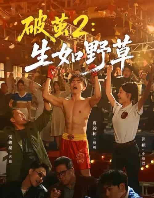 破茧2：生如野草（55集全）曹竣柯＆郭颖-紫橙资源网