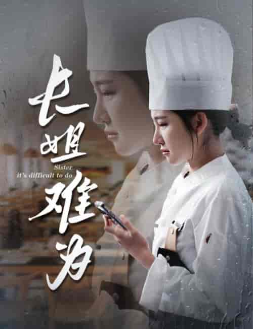 长姐难为（60集全）喻嘉琳 乐瑶 - 紫橙短剧