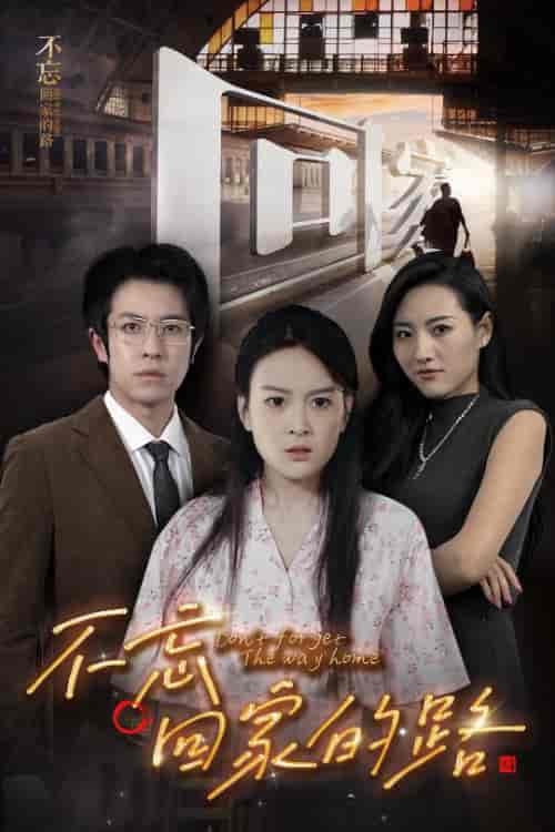 不忘回家的路（61集全）-紫橙资源网