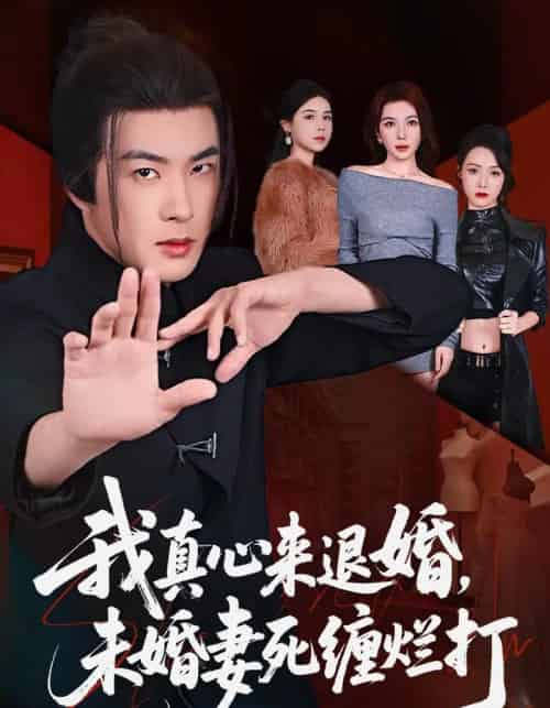 我真心来退婚，未婚妻死缠烂打（72集全）孔奇力＆吴美慧-紫橙资源网