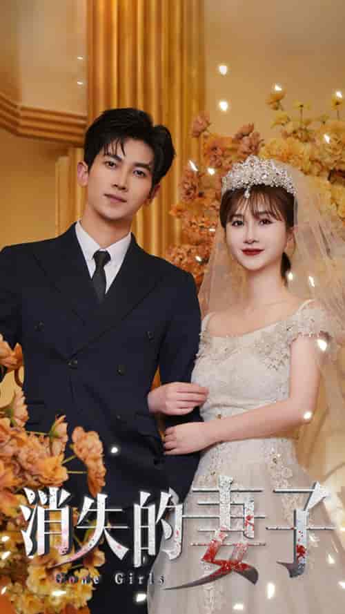 新:消失的妻子(100集)王骊亚-紫橙资源网