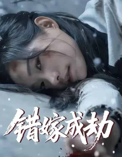 错嫁成劫（60集全）王向志＆洪佳宁-紫橙资源网