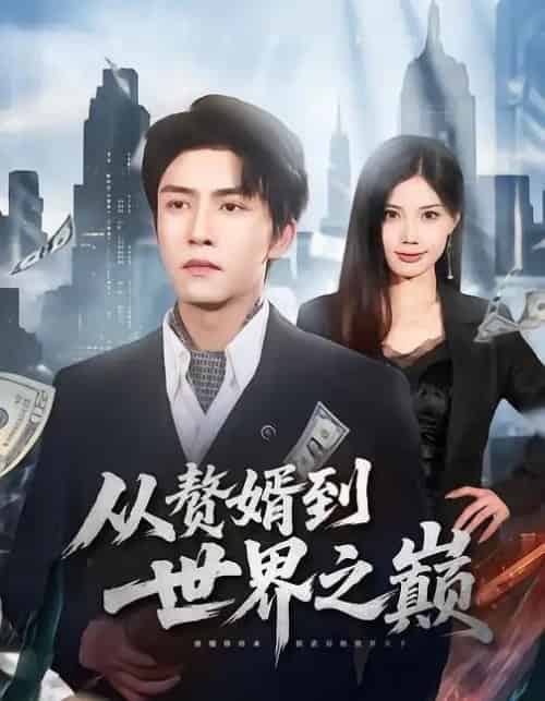 从赘婿到世界之巅（93集全）莫书铭＆苏文文-紫橙资源网