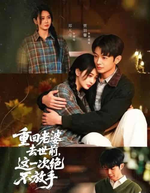 重回老婆去世前，这一次绝不放手（80集全）郑天奇＆贾羽馨-紫橙资源网