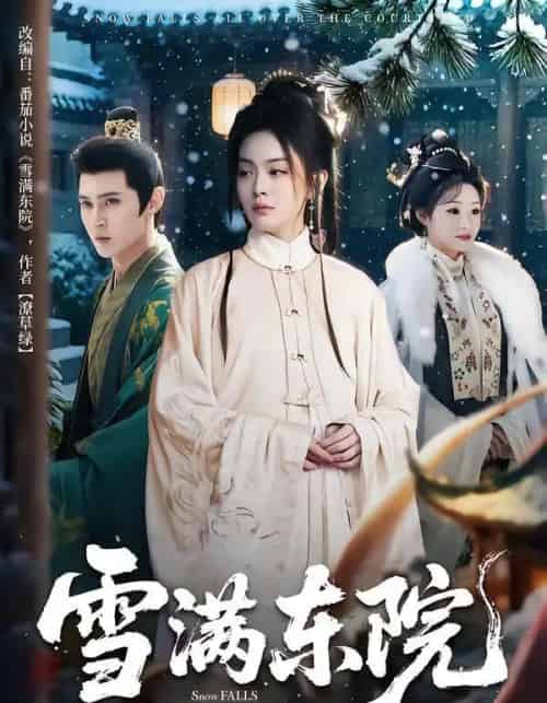 雪满东院（60集全）赵安第＆沈渡-紫橙资源网