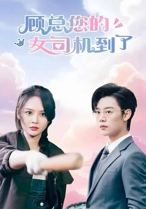 顾总您的女司机到了（78集全）顾书南＆林沁怡-紫橙资源网