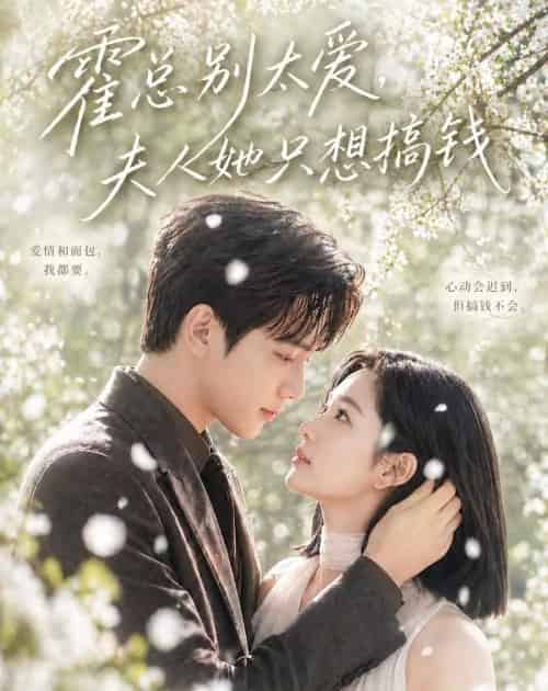 霍总别太爱,夫人她只想搞钱(66集全)AI-紫橙资源网