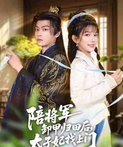 陪将军卸甲归田后,太子妃找上门(60集全)朱芝琳&朱城玮-紫橙资源网