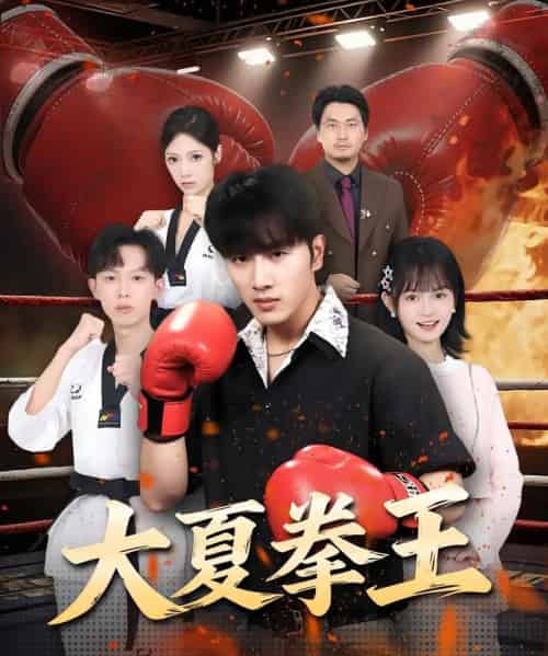 大夏拳王（80集）都市脑洞·都市·全80集-紫橙资源网