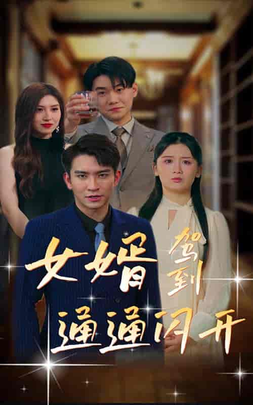 女婿驾到，通通闪开（34集） - 紫橙短剧