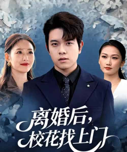 离婚后，校花找上门（80集全）姜沣＆黄斯琪-紫橙资源网