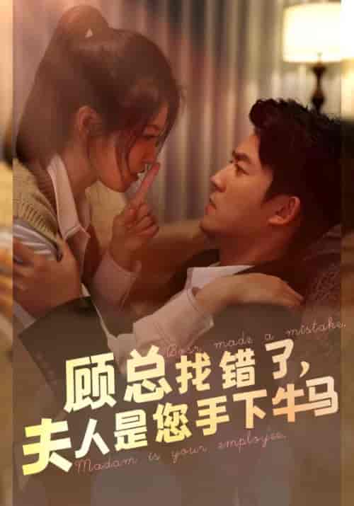 顾总找错了,夫人是您手下的牛马(74集)-紫橙资源网