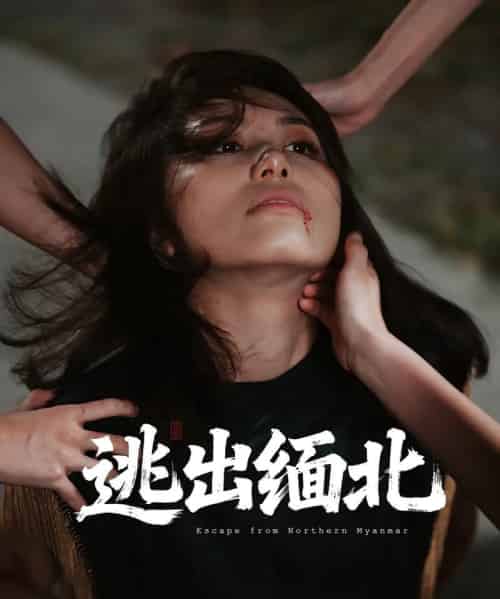 逃出缅北(62集)刘振安&汪芷萱-紫橙资源网