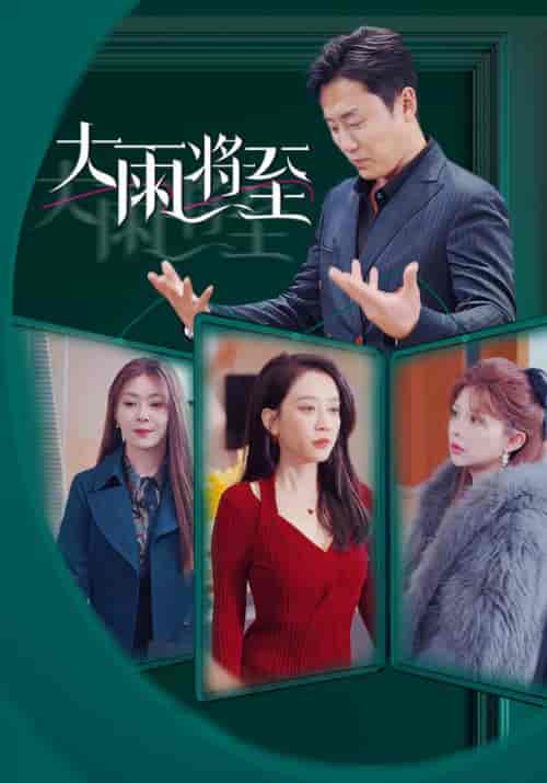 大雨将至(43集全)顾政&姜晚-紫橙资源网
