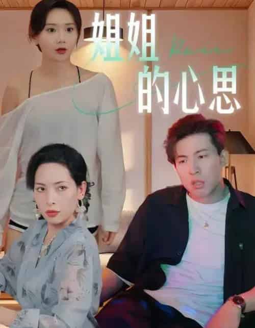 姐姐的心思 （20集全） 陈安＆王瑶-紫橙资源网