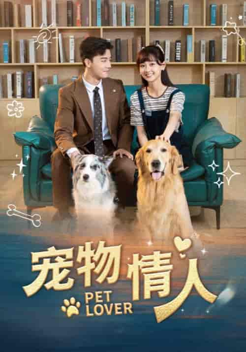 宠物情人（42集全）霍嘉许＆殷悦-紫橙资源网