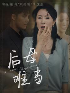 后母难当（72集）-紫橙资源网