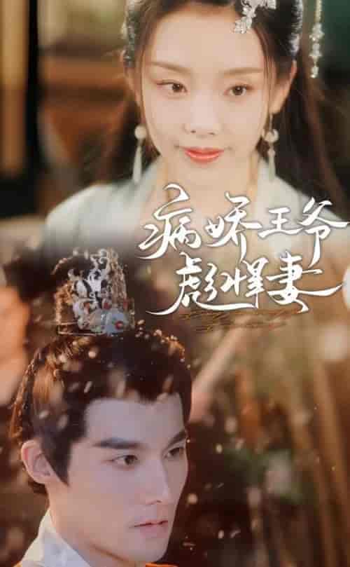 病娇王爷彪悍妻（100集）-紫橙资源网