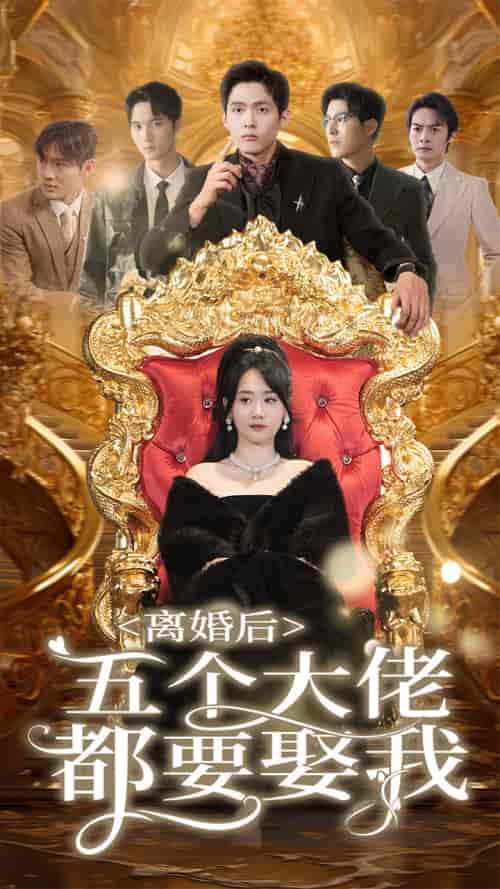 离婚后五个大佬都要娶我（80集）-紫橙资源网