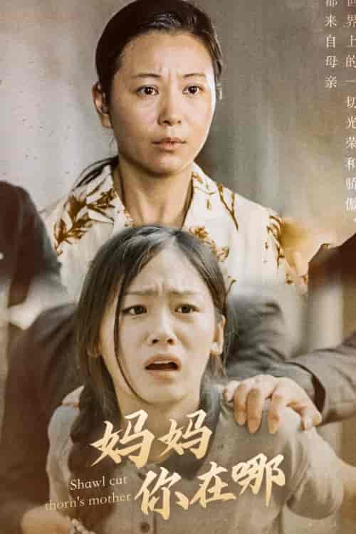 春风不改旧时波（70集）-紫橙资源网